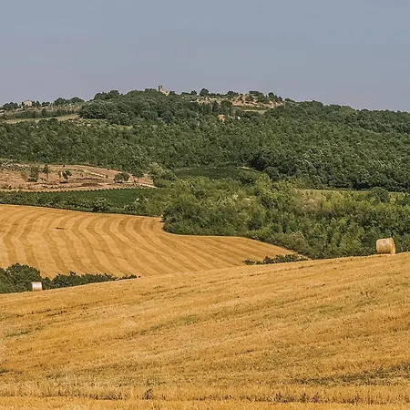 Casa Di Sotto Todi
